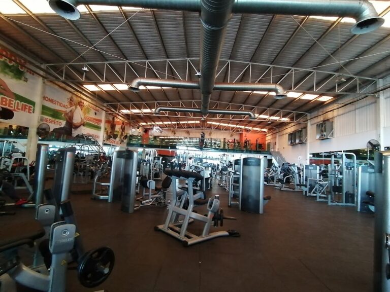 18388 life gym 768x576