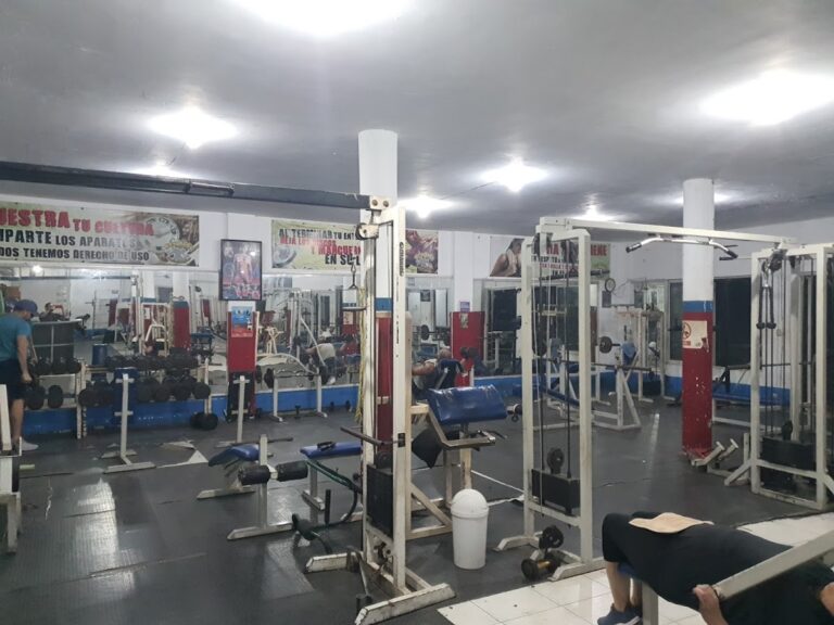 18404 new body gym 768x576