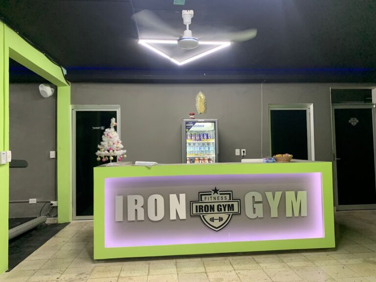 18480 iron gym 8211 lopez mateos 768x576