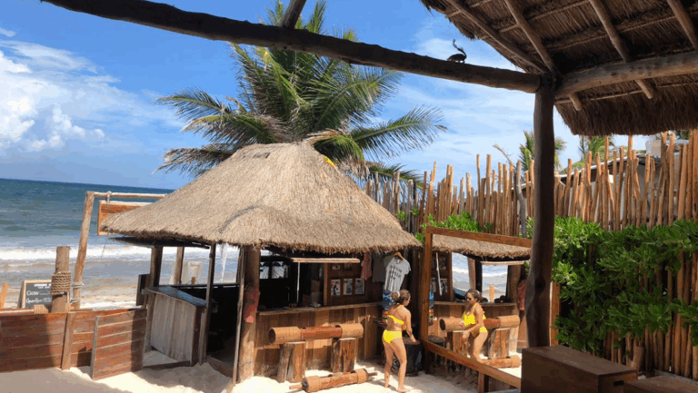 18484 tulum jungle gym 768x433