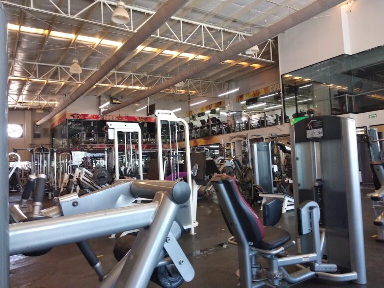 18514 goal gym 768x576