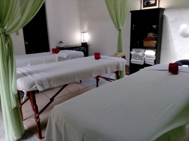 18869 spa sayamara 768x576