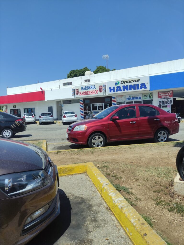 20014 the lion barbershop 768x1023