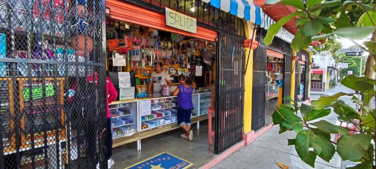 20332 papeleria citlalli 768x346