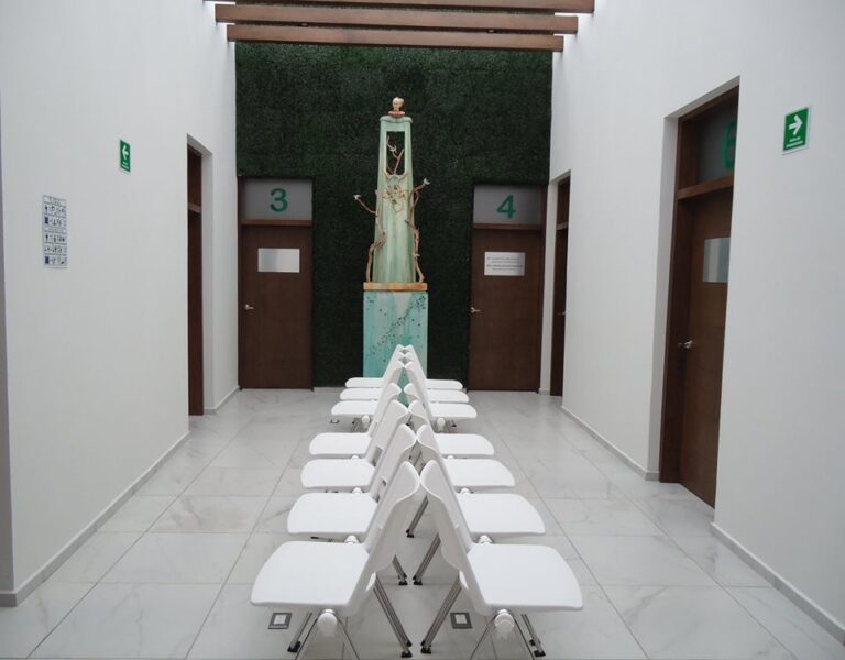 2075 medica jardin 768x600