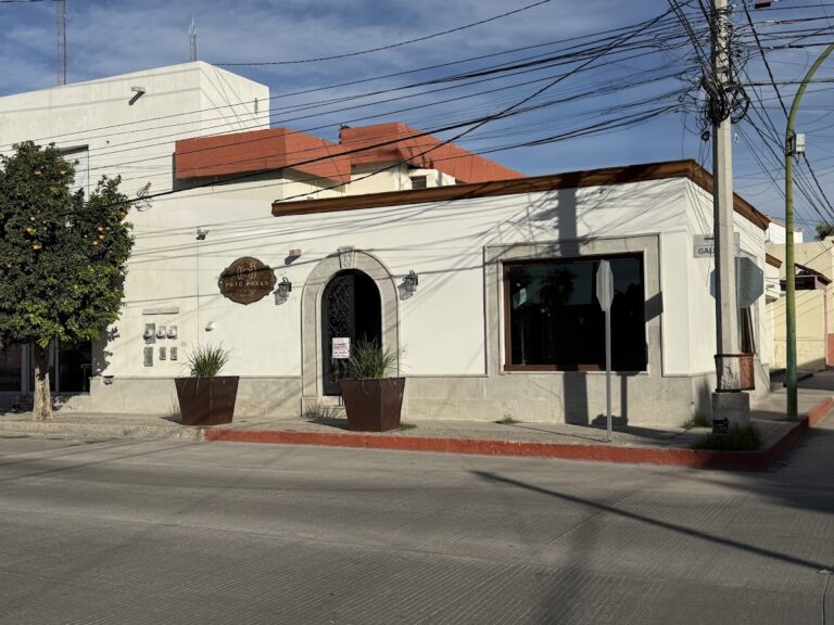 20942 foto rosas 768x576