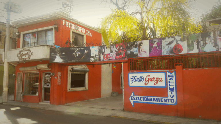 21005 fotografia garza 768x432