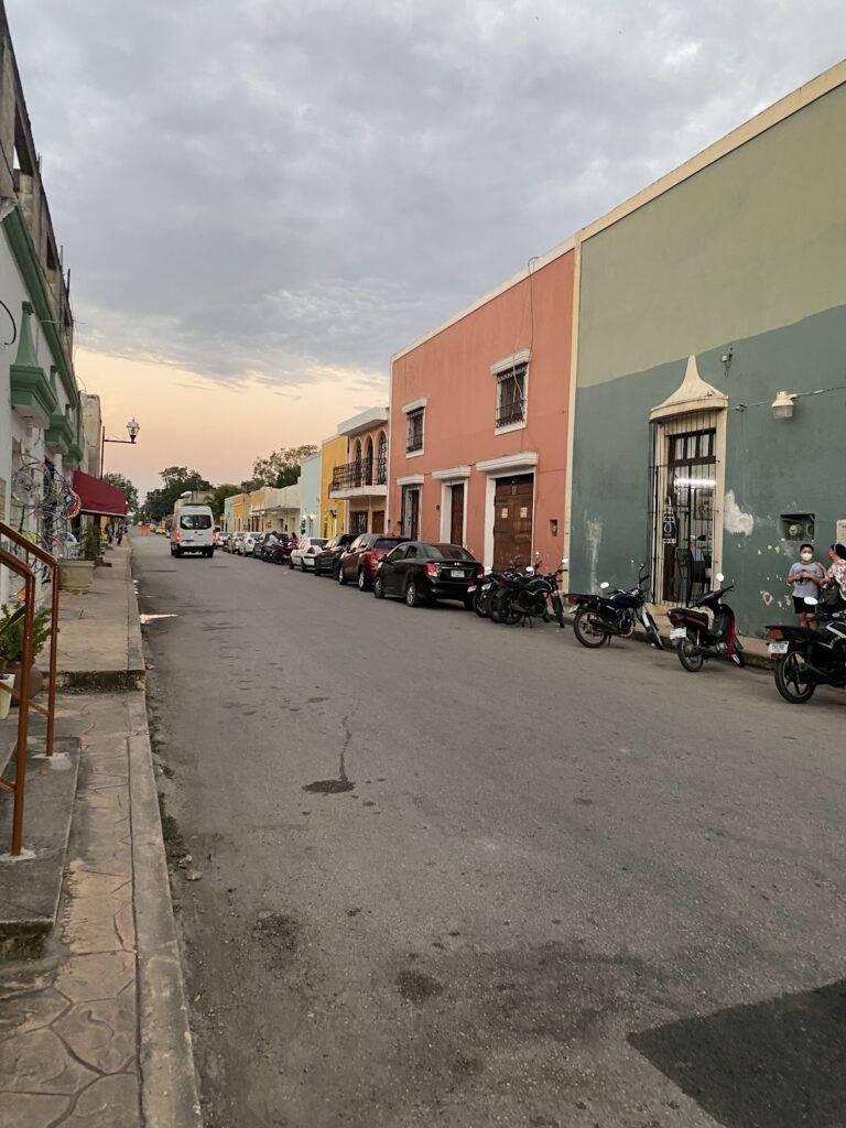 21033 omnifoto 768x1024