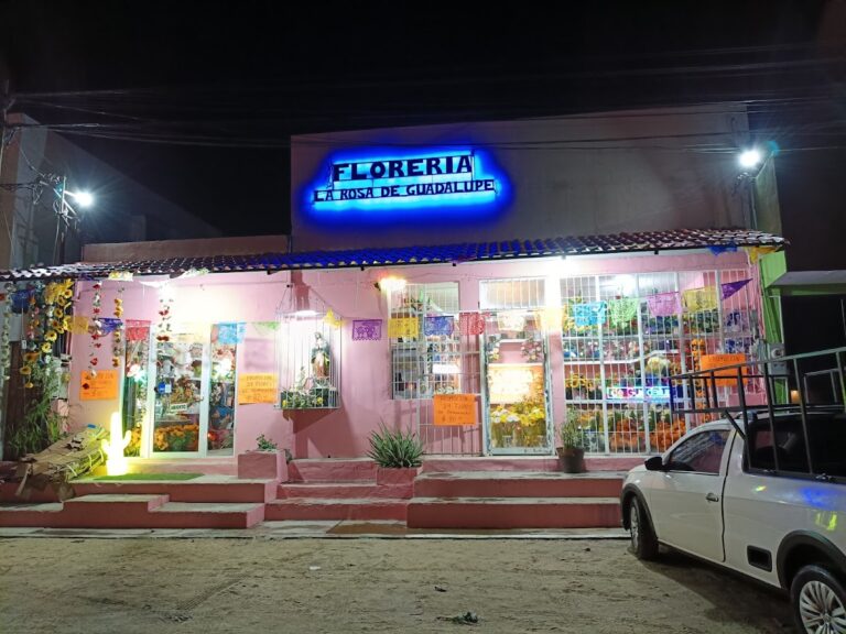 21581 floreria la rosa de guadalupe 768x576