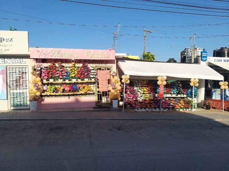 21583 floreria petalos 768x576