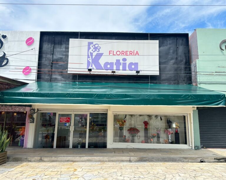 21609 floreria katia 768x613