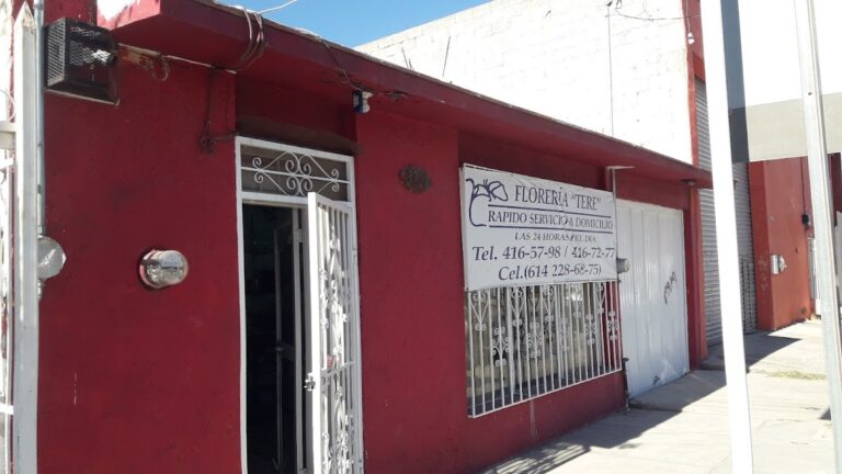 21635 floreria tere 768x432