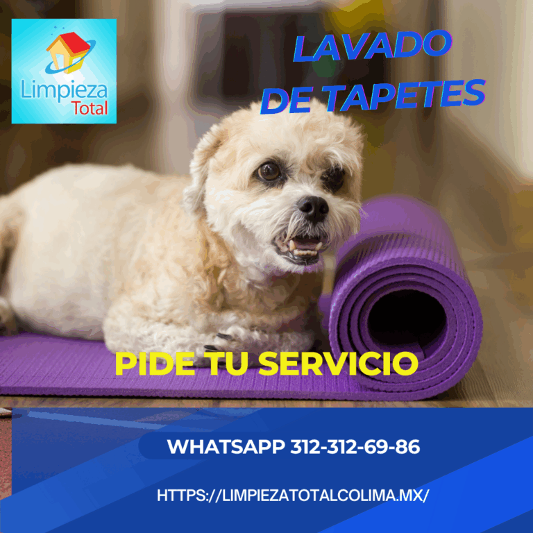 217 limpieza total colima 768x768