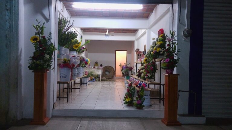21831 las flores de ana 768x431