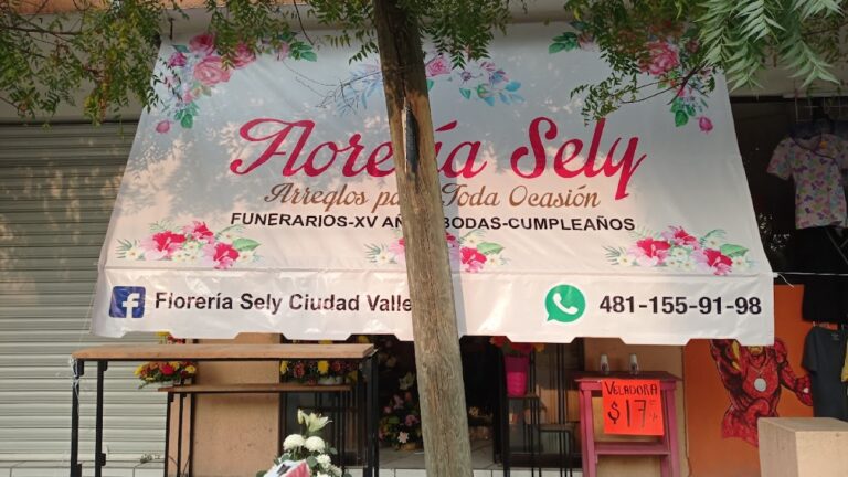 21937 floreria sely ciudad valles 768x432