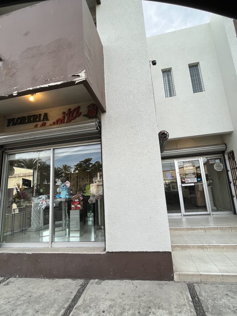 21971 floreria lupita de hermosillo 768x1024