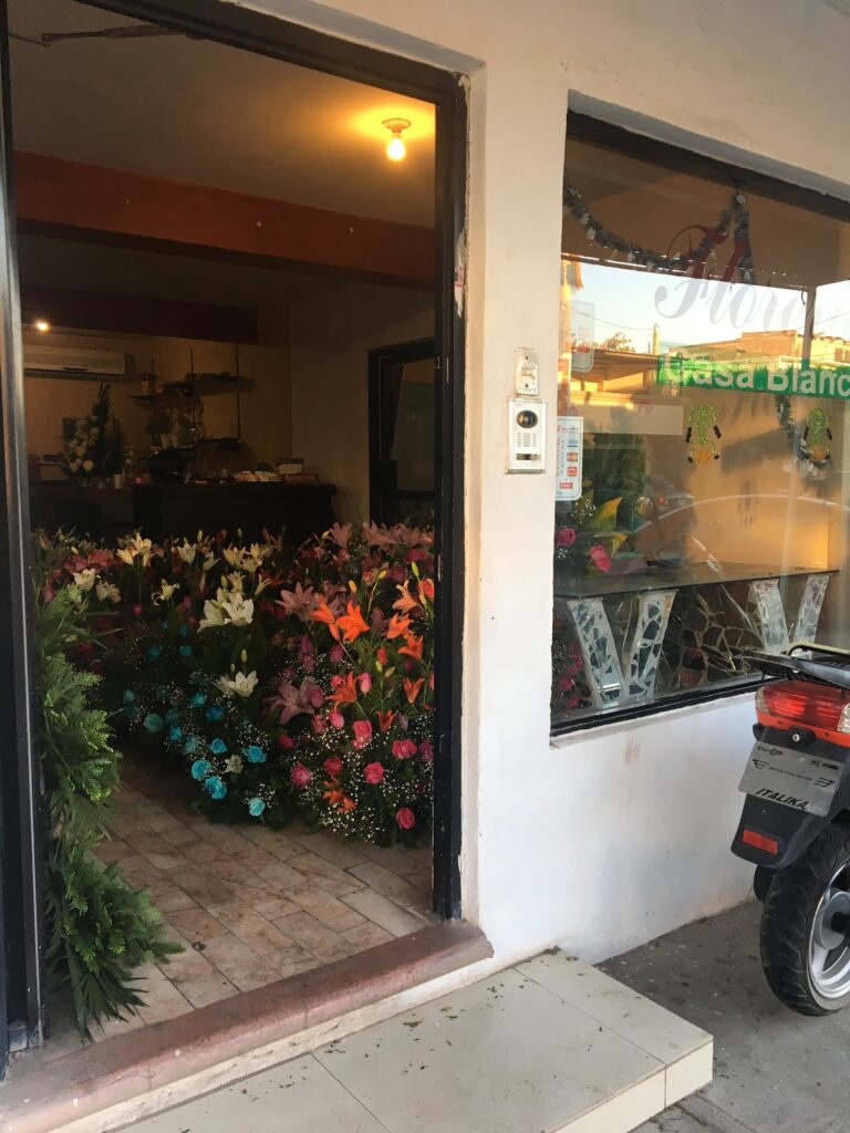 21983 floreria casa blanca 768x1024