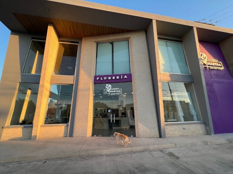 22007 floreria y regalos martha s.a. de c.v 768x576