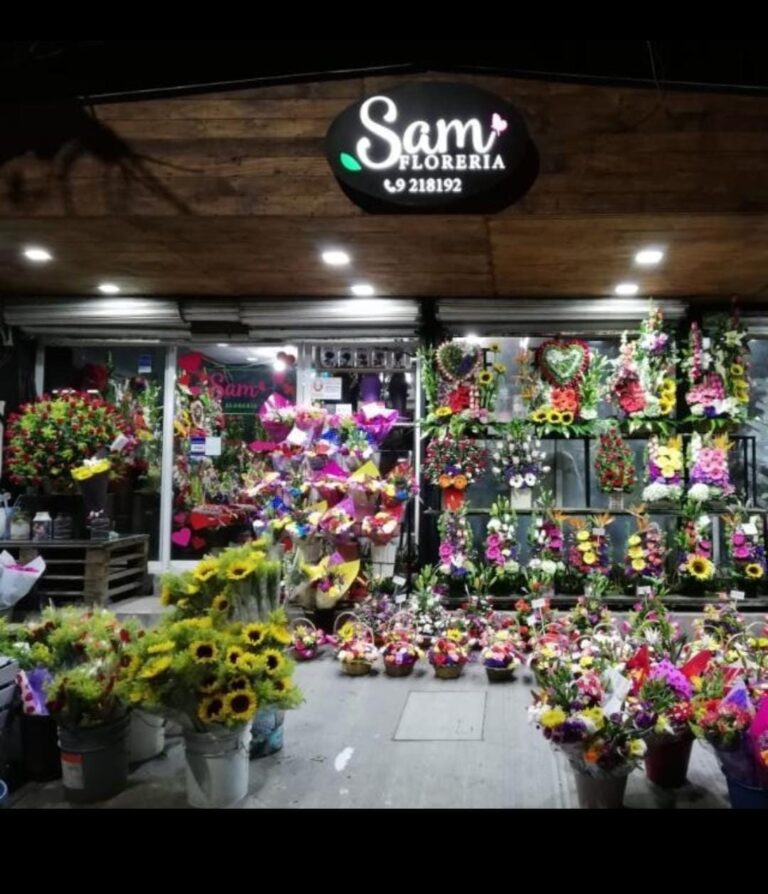 22031 sam floreria 768x894