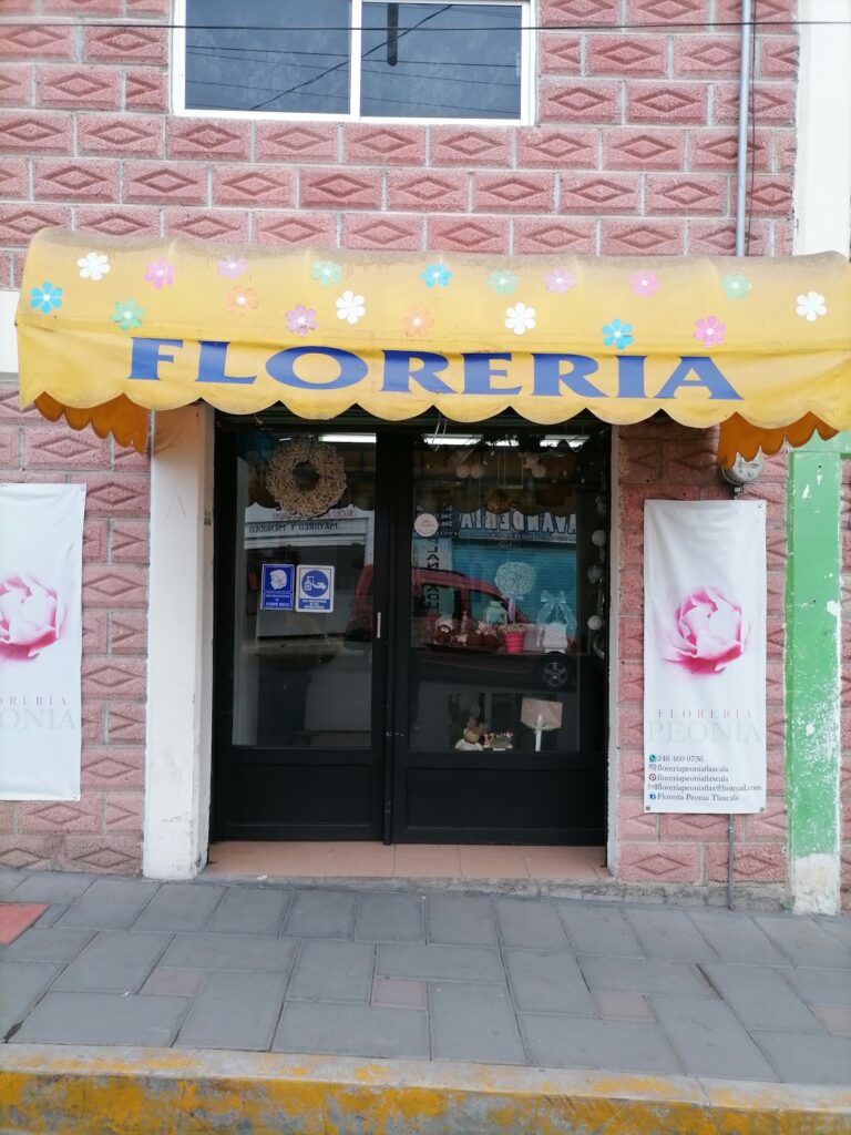 22042 floreria peonia tlaxcala 768x1024