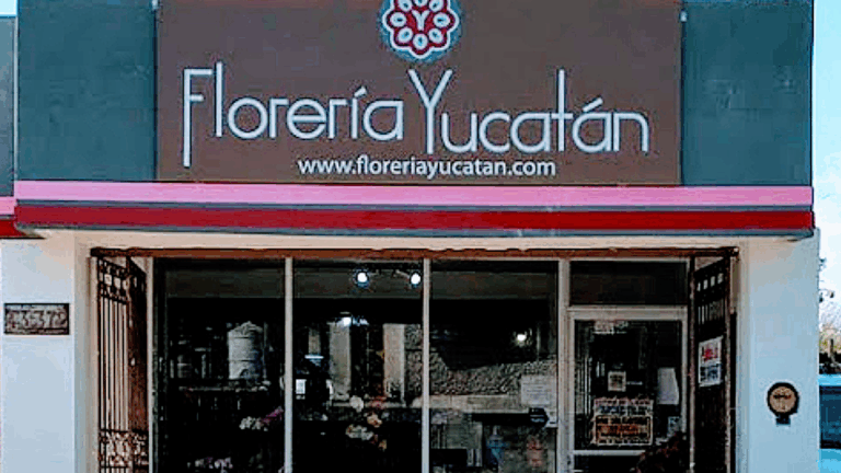 22058 floreria yucatan 8211 yucatan flower shop 768x432