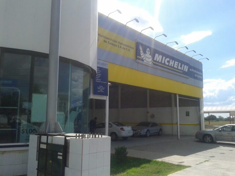 22202 multiservicios automotrices de celaya 768x576