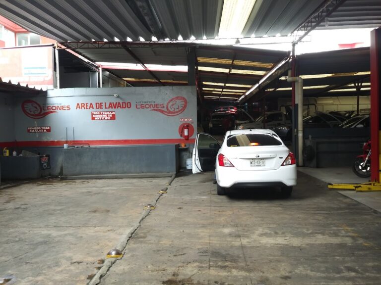 22513 automotriz los leones 768x576