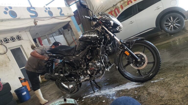 23169 auto lavado el oso 2 768x432