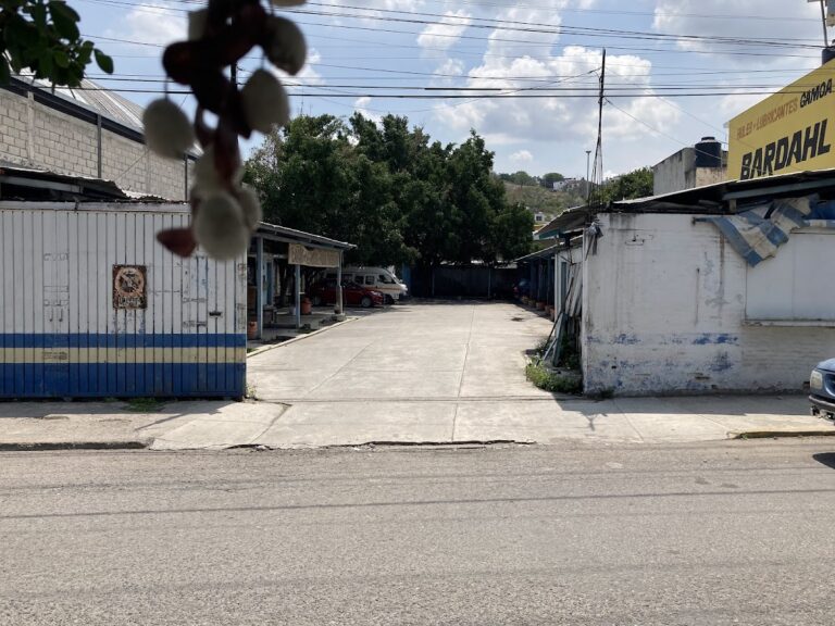 23234 lavado de autos guerrero 768x576