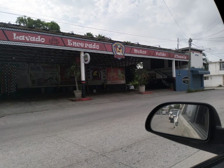 23447 auto lavado yoghy 768x576