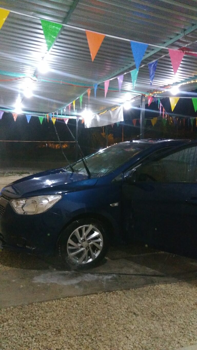 23566 detallado automotriz rooster 768x1365