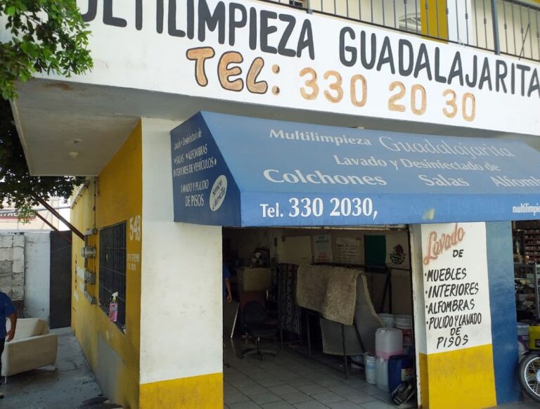 243 multilimpieza guadalajarita 768x582