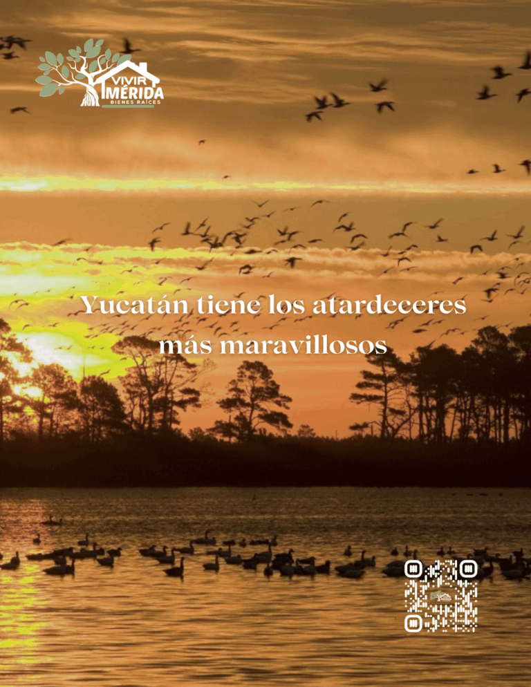 24605 inmobiliaria vivir merida 768x994