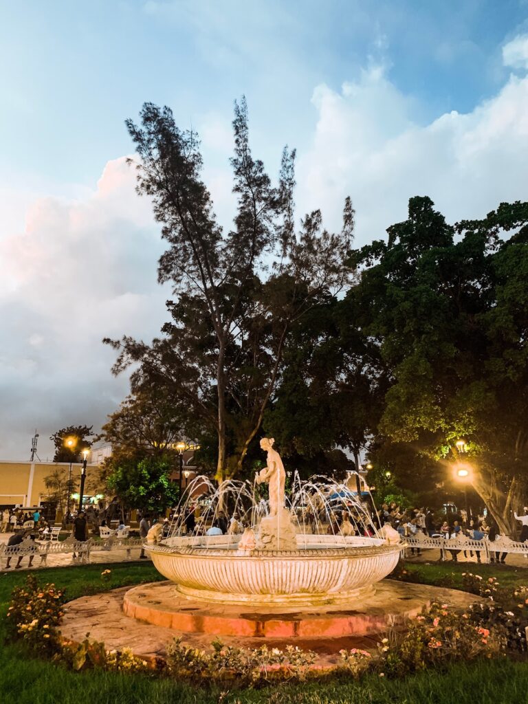 24633 tierra valladolid 768x1024