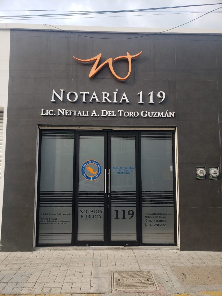 24688 notaria publica 119 neftali del toro guzman 768x1024