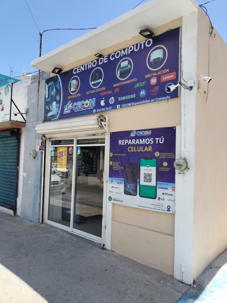 2494 cecom especialistas en computo 768x1024