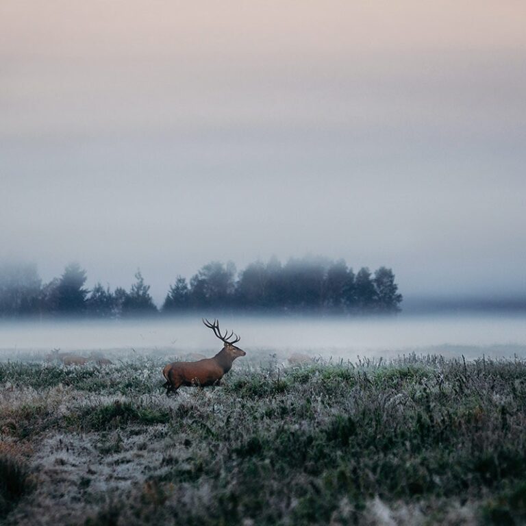 24994 notaria publica 15 768x768