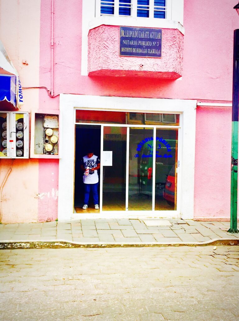 25080 notario publico no. 3 8220dr. leopoldo zarate aguilar8221 768x1031