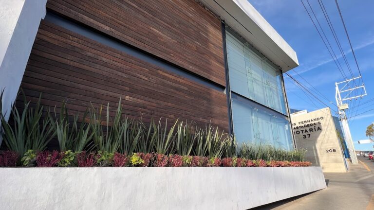 25105 notaria publica 37 768x432