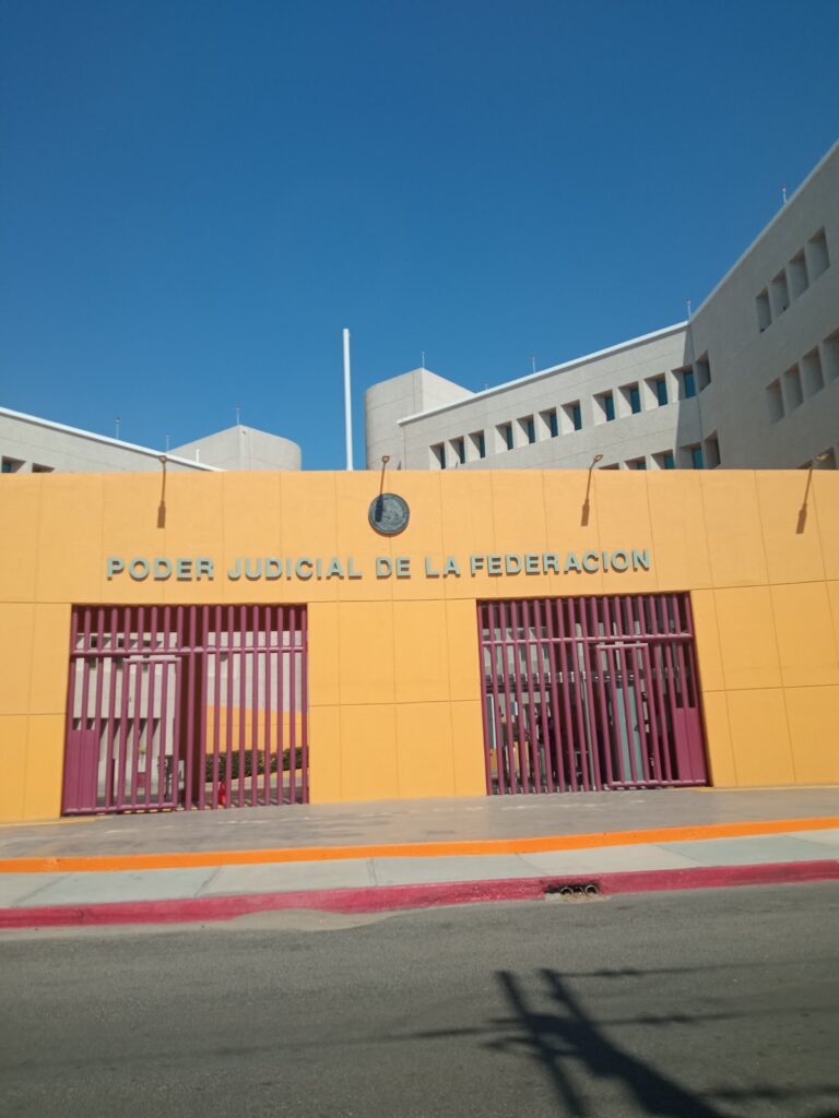 25171 mc abogados los cabos consultas juridicas 768x1024