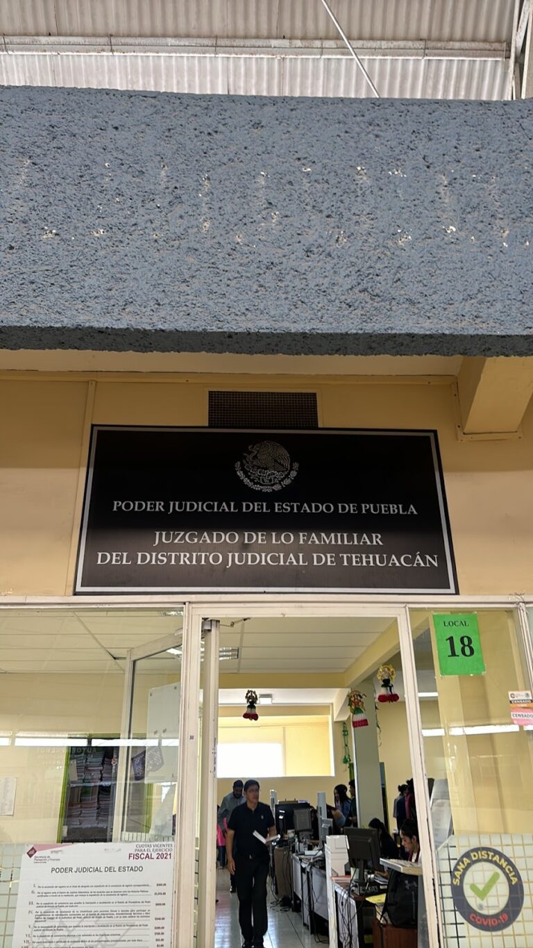 25450 abogado de tehuacan puebla 768x1365