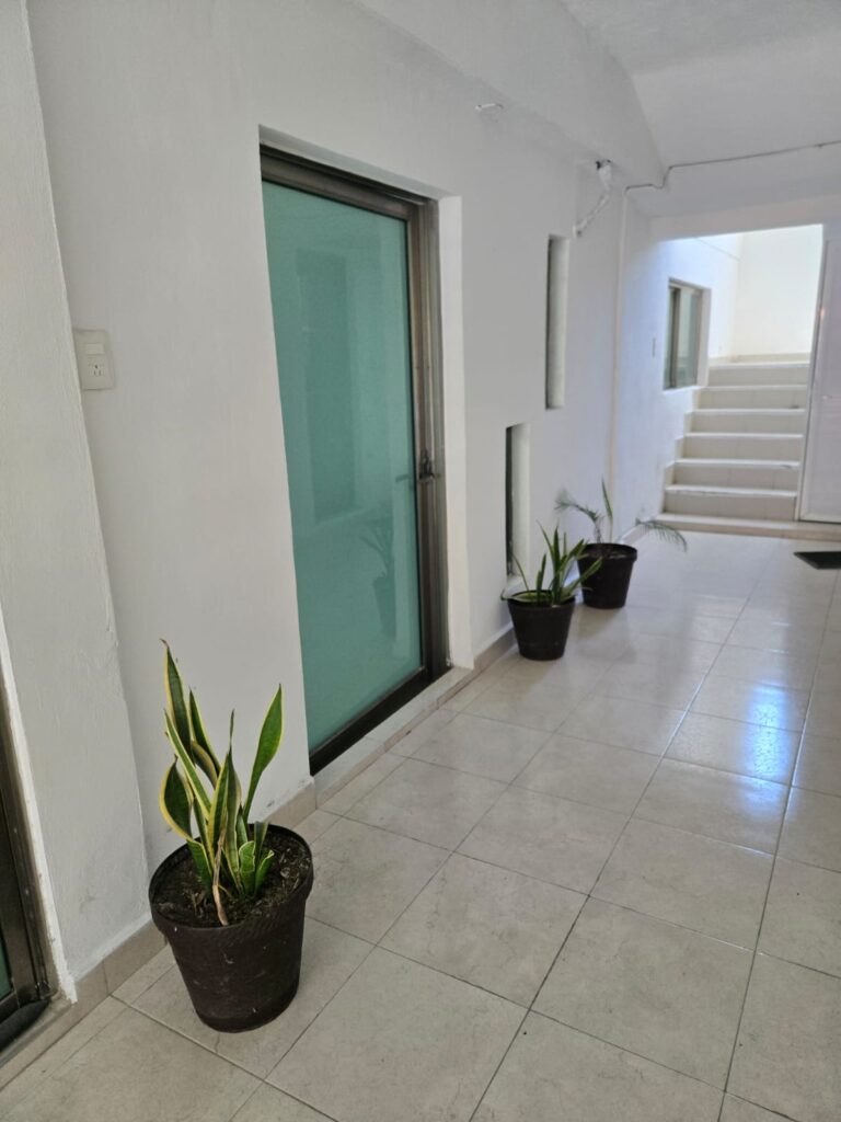 25457 anahi prieto graniel 768x1024