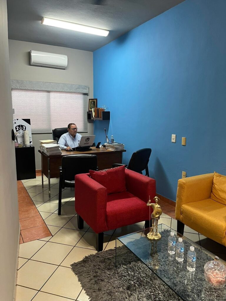 25491 222 abogados 768x1024