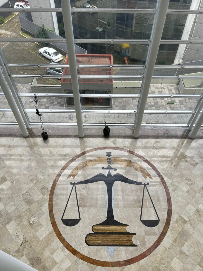 25565 lic.ma . isabel sanchez flores 8220consultoria legal8221 despacho de abogados asesoria juridica veracruz 768x1024