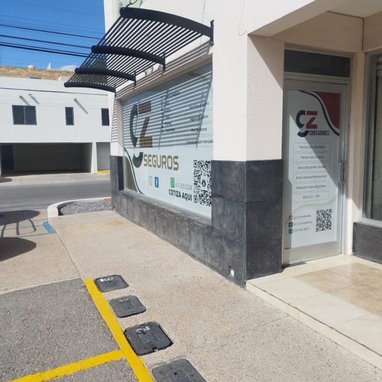 25657 gz contadores 768x768