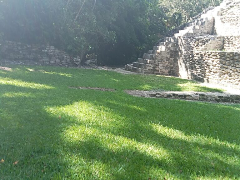 26158 armandotuviaje.com oficial y actual 768x576