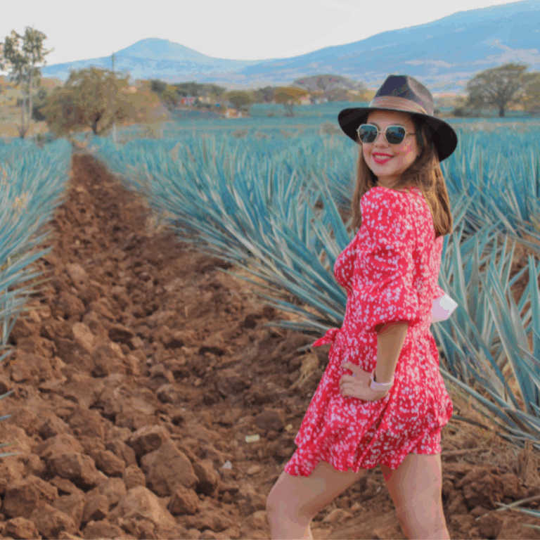 26210 agencia de viajes en guadalajara jalisco adventours 768x768