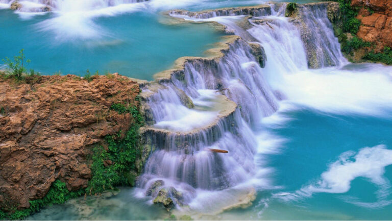 26222 omnibus de vallarta 768x433