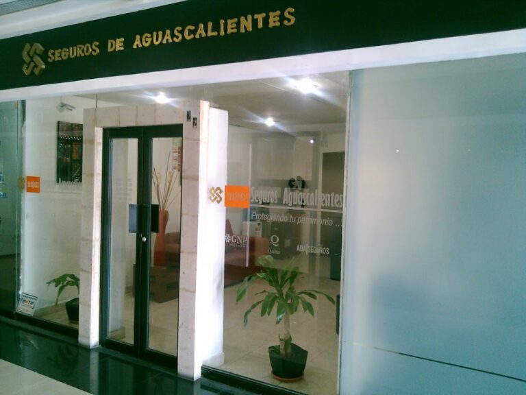 26531 seguros y fianzas aguascalientes 768x576