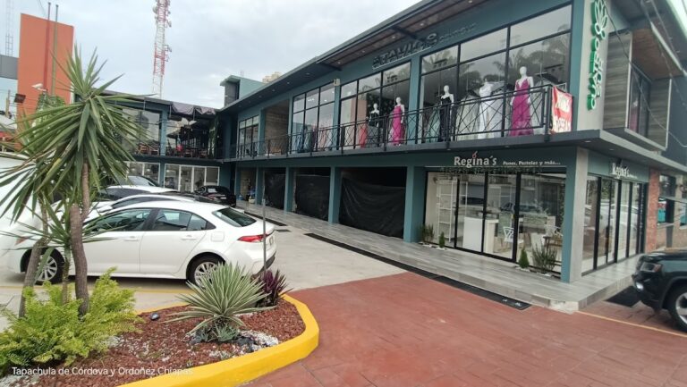 26622 agente gnp seguros 768x433